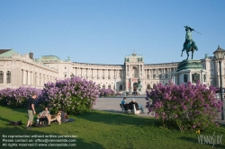 Viennaslide-01113134 Wien, Hofburg, Heldenplatz im Frühling - Vienna, Heldenplatz in Springtime