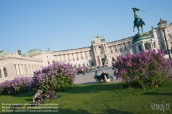 Viennaslide-01113135 Wien, Hofburg, Heldenplatz im Frühling - Vienna, Heldenplatz in Springtime