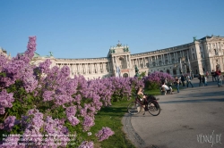 Viennaslide-01113136 Wien, Hofburg, Heldenplatz im Frühling - Vienna, Heldenplatz in Springtime