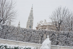 Viennaslide-01119147 Wien, Ringstraße, Winter, Volksgarten, Sisi-Denkmal und Rathaus, Winter