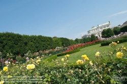 Viennaslide-01119160 Wien, Ringstraße, Volksgarten, Blick zum Burgtheater