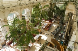 Viennaslide-01119231 Wien, Burggarten, Palmenhaus, Cafe im Innenraum von Eichinger und Knechtl 1998