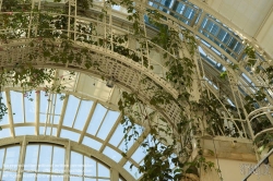 Viennaslide-01119239 Wien, Burggarten, Palmenhaus, Cafe im Innenraum von Eichinger und Knechtl 1998