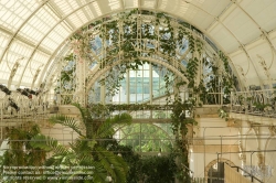 Viennaslide-01119241 Wien, Burggarten, Palmenhaus, Cafe im Innenraum von Eichinger und Knechtl 1998