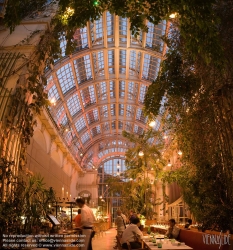 Viennaslide-01119264 Wien, Burggarten, Palmenhaus, Innenraum von Eichinger und Knechtl 1998