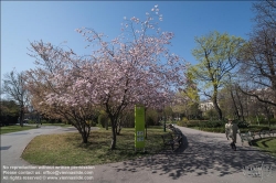 Viennaslide-01119501 Wien, Stadtpark im Frühling - Vienna, Stadtpark Garden in springtime