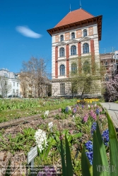 Viennaslide-01201842f Wien, Universität für Bodenkultur (Boku), Gregor-Mendel-Haus