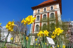 Viennaslide-01201846 Wien, Universität für Bodenkultur (Boku), Gregor-Mendel-Haus