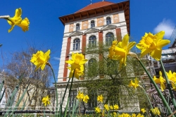 Viennaslide-01201847 Wien, Universität für Bodenkultur (Boku), Gregor-Mendel-Haus