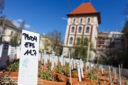 Viennaslide-01201848 Wien, Universität für Bodenkultur (Boku), Gregor-Mendel-Haus