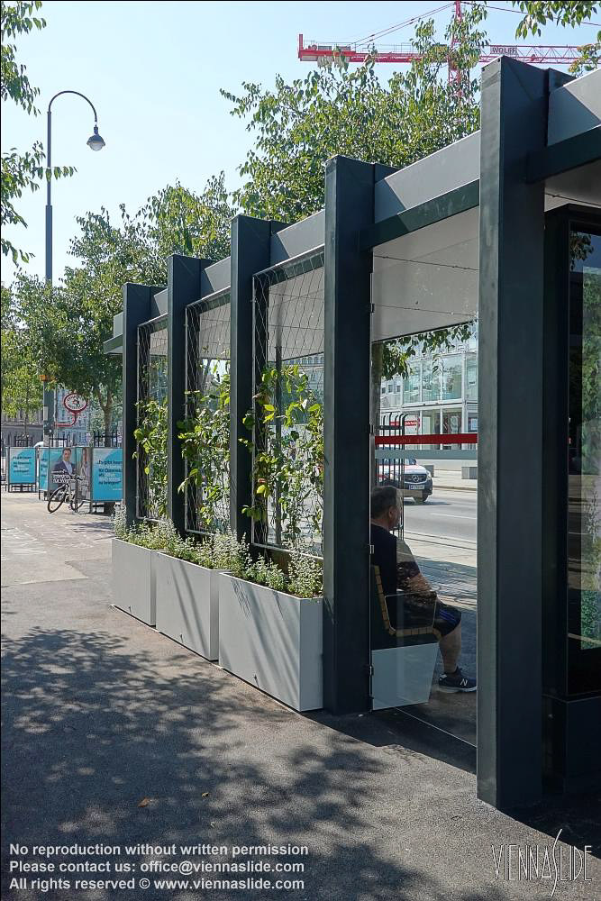 Viennaslide 02019152 jpg