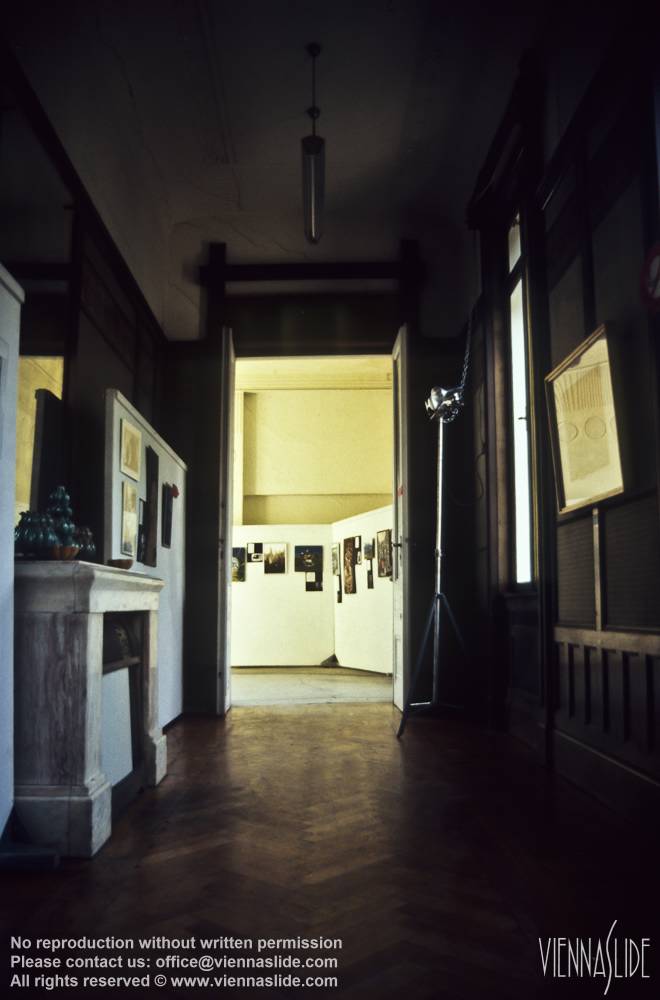 Viennaslide 03677008 jpg