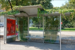 Viennaslide-02019165 Wien, Ringstraße, begrünte Straßenbahnhaltestelle