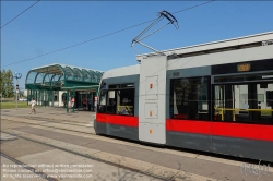 Viennaslide-02310124 Wien, Straßenbahnlinie 31, Station Schottenring