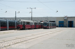 Viennaslide-03700298 Wien, Straßenbahn, Hauptwerkstätte, Straßenbahn am Vorfeld - Vienna, Tramway, Main Workshop