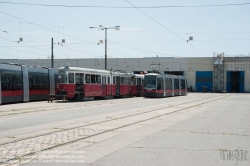 Viennaslide-03700298 Wien, Straßenbahn, Hauptwerkstätte, Straßenbahn am Vorfeld - Vienna, Tramway, Main Workshop