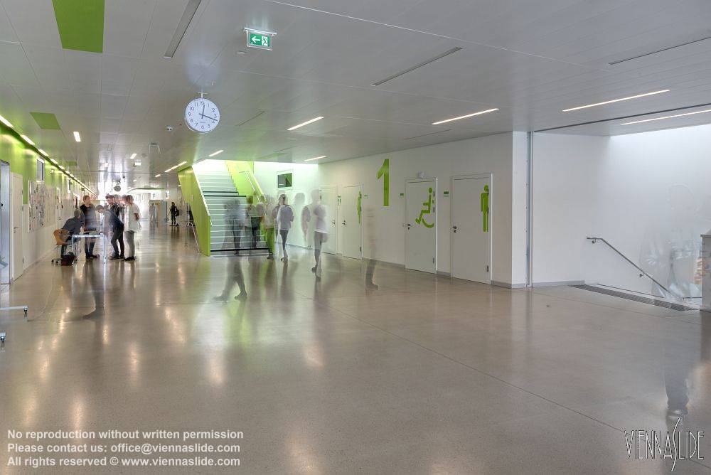 Viennaslide 04211751f jpg