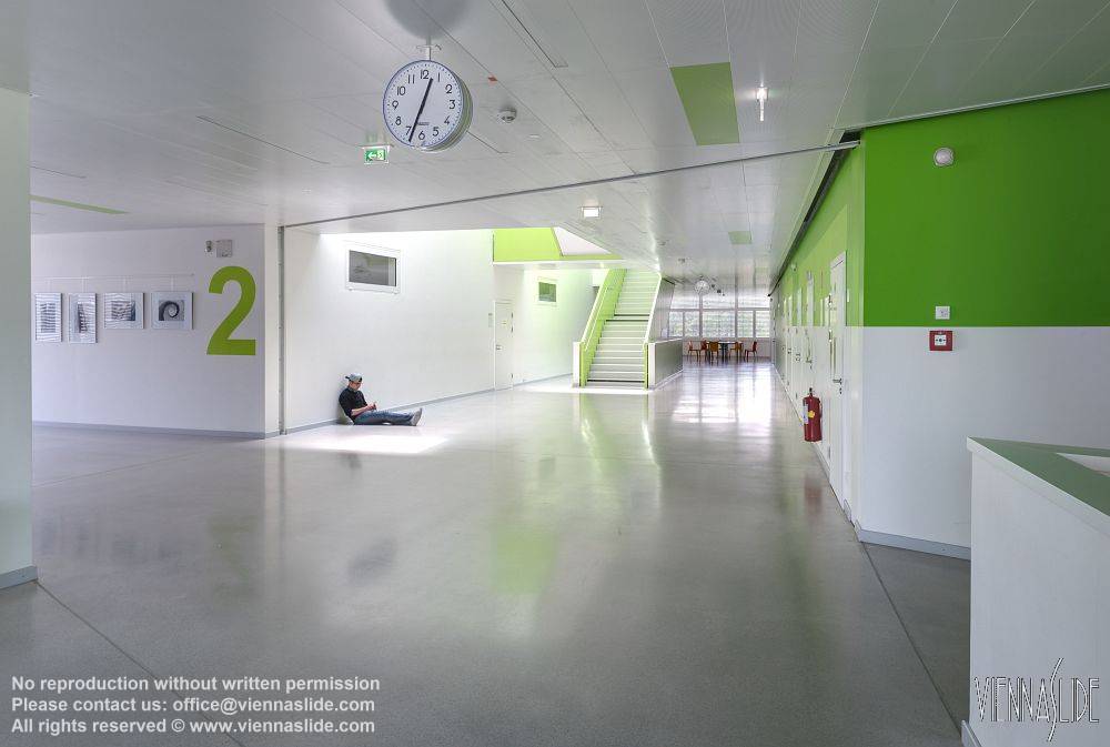 Viennaslide 04211759f jpg