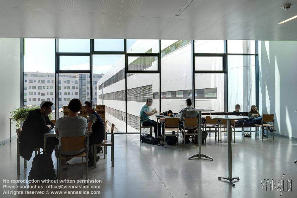 Viennaslide 04211776f jpg