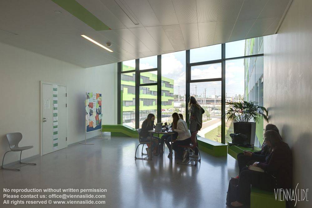 Viennaslide 04211779f jpg