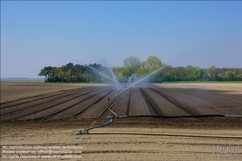 Viennaslide 04220123 jpg