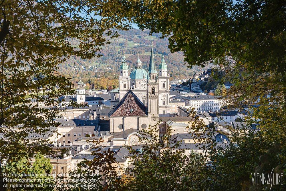 Viennaslide 04510818f jpg