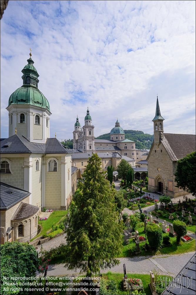 Viennaslide 04511803 jpg