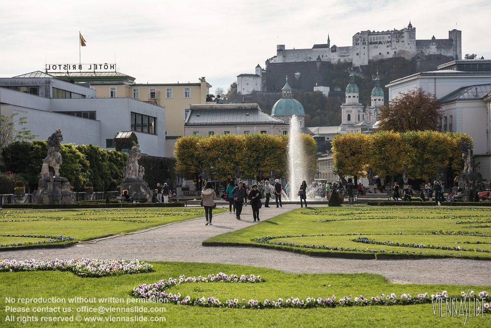 Viennaslide 04512113 jpg