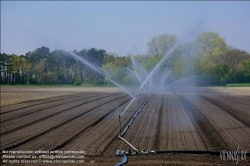 Viennaslide-04220122 Felder bei Aderklaa im Marchfeld, künstliche Bewässerung // Farmland in Austria near Aderklaa, artificial irrigation