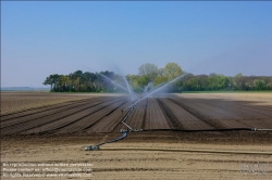 Viennaslide-04220123 Felder bei Aderklaa im Marchfeld, künstliche Bewässerung // Farmland in Austria near Aderklaa, artificial irrigation