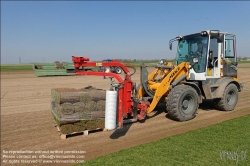 Viennaslide-04220133 Marchfeld, Aderklaa, Landwirtschaft Iser, Anbau von Rollrasen // Marchfeld, Aderklaa, Farmer Iser, rolled turf