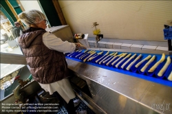 Viennaslide-04220179 Marchfeld, Aderklaa, Landwirtschaft Iser, Reinigung und Bearbeitung des Spargels nach der Einlieferung // Marchfeld, Aderklaa, Landwirtschaft Iser, Cleaning and Cutting of Asparagus