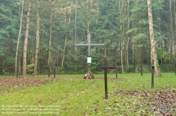 Viennaslide-04235521f Wieselburg, Soldatenfriedhof