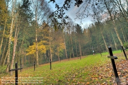 Viennaslide-04235527h Wieselburg, Soldatenfriedhof