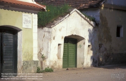 Viennaslide-04280109 Kellergasse im Weinviertel