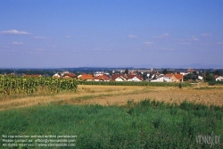 Viennaslide-04280141 Niederösterreich, Blick auf Zistersdorf