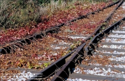 Viennaslide-04289930 Niederösterreich, aufgelassene Lokalbahnstrecke