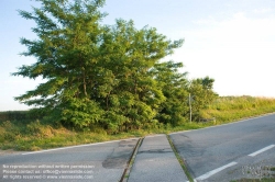 Viennaslide-04289935 eingestellte Eisenbahnstrecke am Gerichtsberg