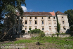 Viennaslide-04301708 Schloss Ebenfurth ist ein in der niederösterreichischen Stadtgemeinde Ebenfurth gelegenes ehemaliges Wasserschloss. Seit 2000 bemühte sich aber die Psychotherapeutin Bärbel Langer intensiv um die Erhaltung des Schlosses und konnte eine weitgehende Sanierung des Daches durchführen. Im Februar 2010 erhielt das Schloss neue Besitzer. Die serbische Popsängerin Dragana Mirkovic und ihr Mann, der Generaldirektor eines Fernsehsenders, wollen nun das Schloss renovieren und den Innenhof überdachen.