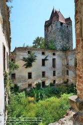 Viennaslide-04301906h Pottendorf, Schlossruine - Austria, Pottendorf, Ruin of old Moated Castle