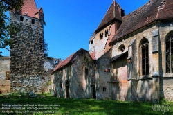 Viennaslide-04301907h Pottendorf, Schlossruine - Austria, Pottendorf, Ruin of old Moated Castle