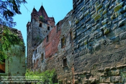 Viennaslide-04301908h Pottendorf, Schlossruine - Austria, Pottendorf, Ruin of old Moated Castle