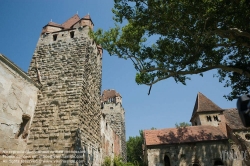 Viennaslide-04301933 Schloss Pottendorf war ein bis nach 1945 bedeutendes Wasserschloss in der niederösterreichischen Gemeinde Pottendorf. Es wurde 1130 erstmals urkundlich mit Rudolf von Pottendorf erwähnt und dürfte kurz vorher erbaut worden sein. Es ist heute weitgehend ruinös, obwohl es samt Kapelle und Parkanlagen unter Denkmalschutz steht.