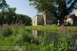 Viennaslide-04301934 Schloss Pottendorf war ein bis nach 1945 bedeutendes Wasserschloss in der niederösterreichischen Gemeinde Pottendorf. Es wurde 1130 erstmals urkundlich mit Rudolf von Pottendorf erwähnt und dürfte kurz vorher erbaut worden sein. Es ist heute weitgehend ruinös, obwohl es samt Kapelle und Parkanlagen unter Denkmalschutz steht.