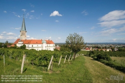 Viennaslide-04312341 Niederösterreich, Gumpoldskirchen - Austria, Gumpoldskirchen