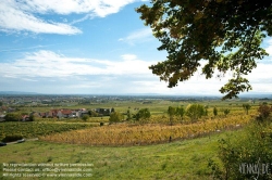 Viennaslide-04312350 Niederösterreich, Gumpoldskirchen - Austria, Gumpoldskirchen