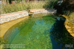 Viennaslide-04331142 Gartenschau Tulln, Bio-Swimmingpool // Tulln, Garden Expo, Organic Swimming Pool