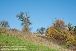 Viennaslide-04385503 Herbststimmung