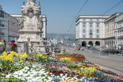 Viennaslide-04411511f Linz, Hauptplatz, Pestsäule, Brückenkopfgebäude, Kunstuniversität