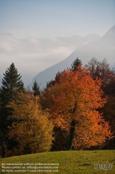 Viennaslide-04431310 Bad Goisern, Herbst